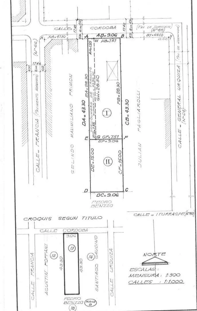Plano 1