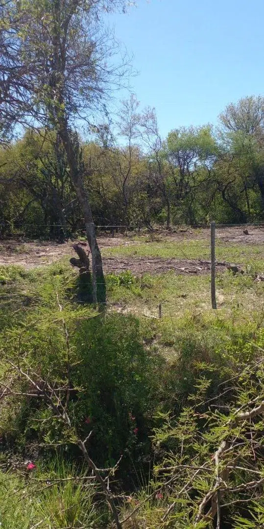 CAMPO DE 980  HECTAREAS EN LA GALLARETA! Ganadero 3