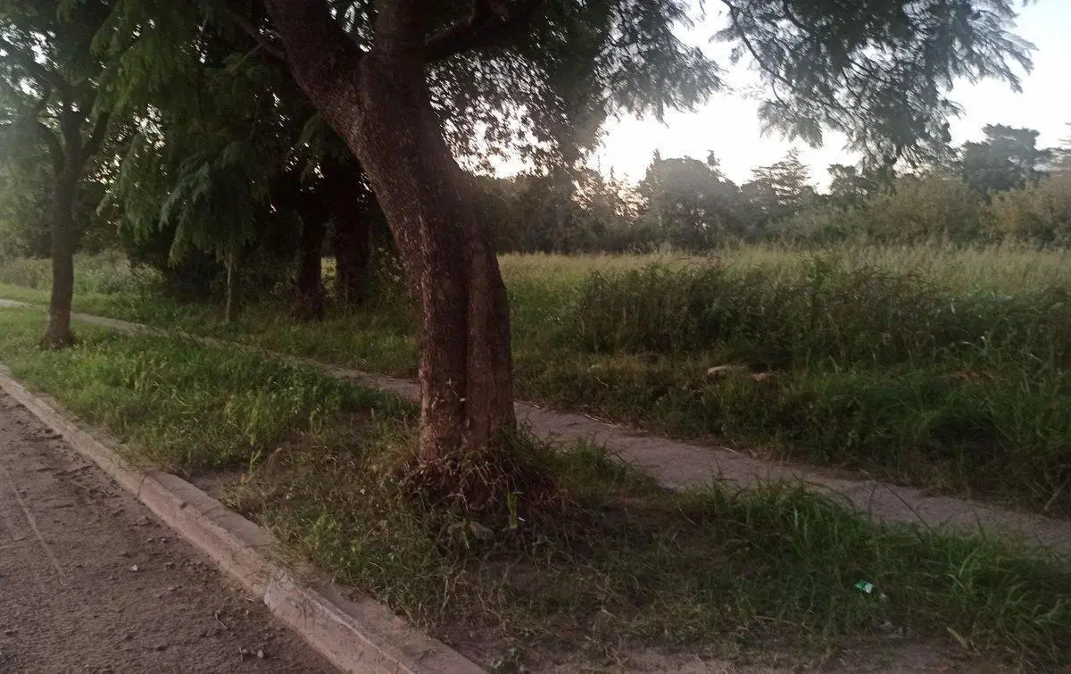Se Vende Lote en Santo Tome 3