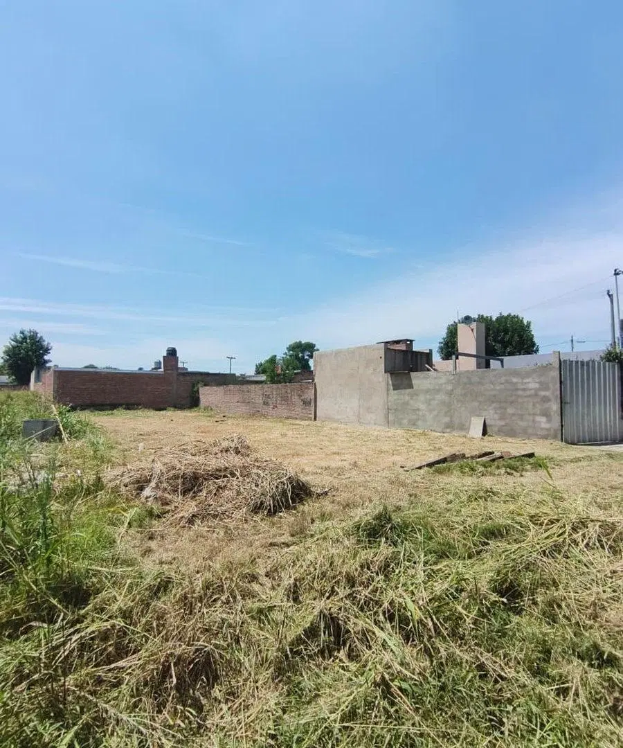 Terreno ideal vivienda 5