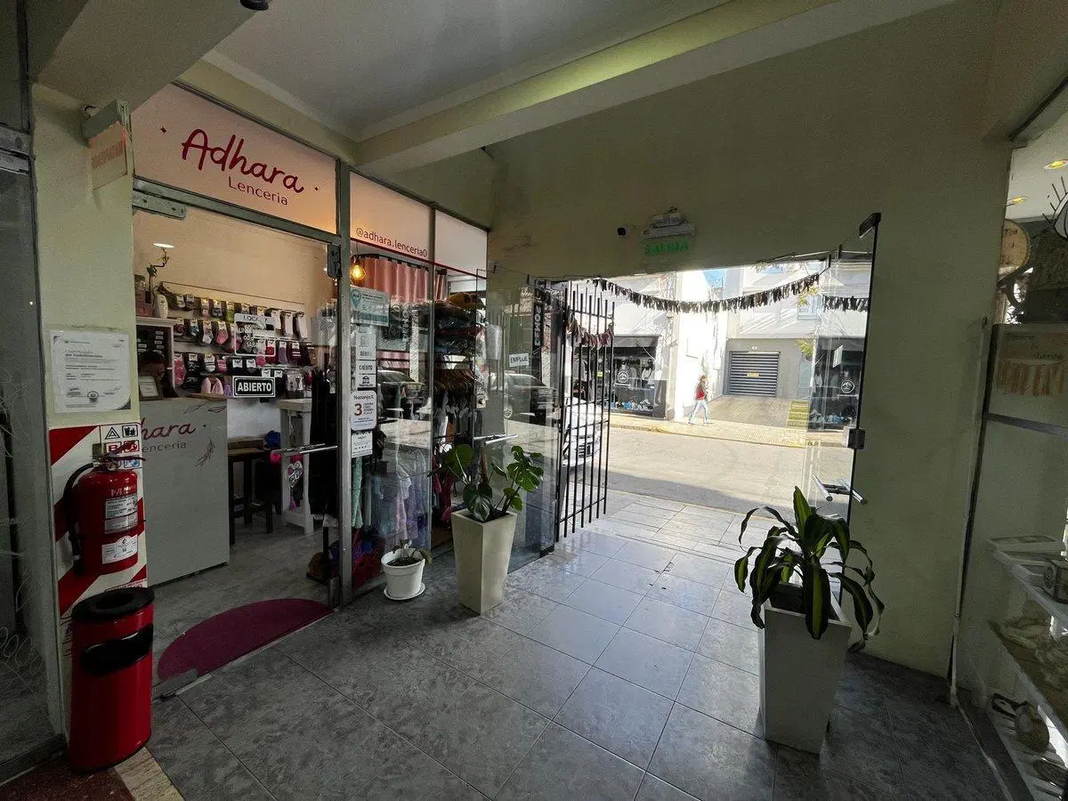 SE VENDE GRAN LOCAL EN EL CENTRO DE SANTA FE 2