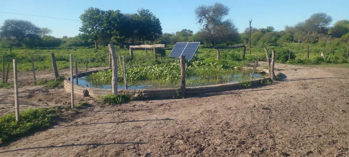 CAMPO DE 980  HECTAREAS EN LA GALLARETA! Ganadero 2