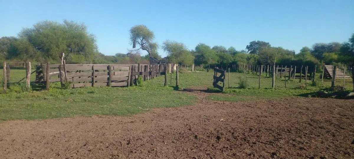 CAMPO DE 980  HECTAREAS EN LA GALLARETA! Ganadero 4