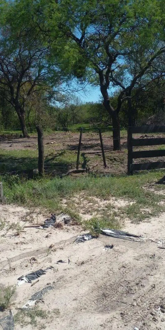 CAMPO DE 980  HECTAREAS EN LA GALLARETA! Ganadero 3