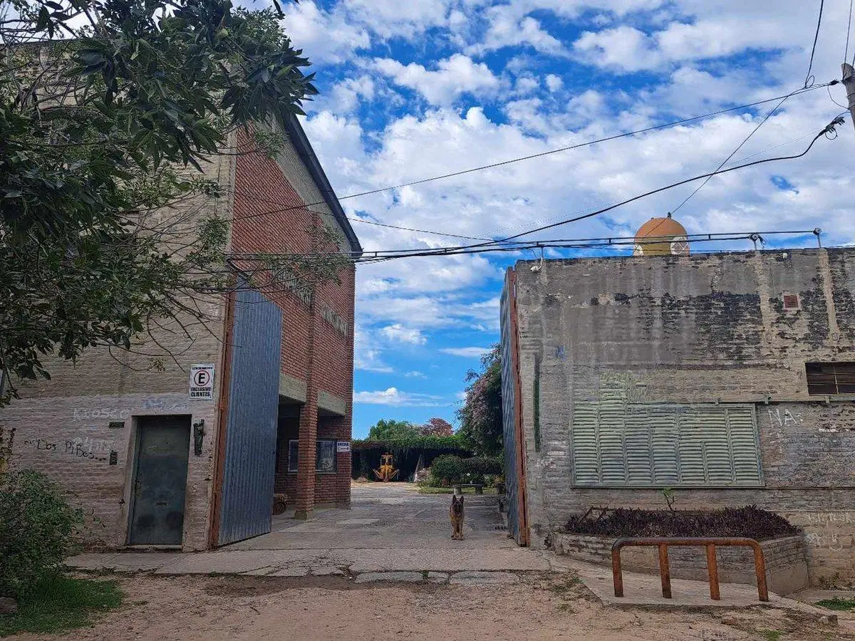 Se alquila sector dentro de un Predio importante 3