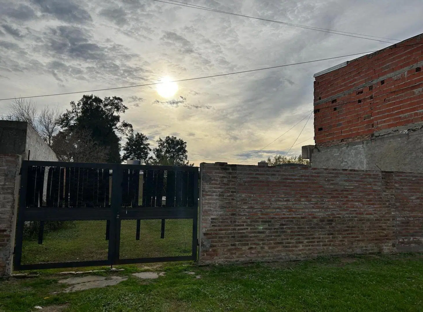 QUINTA SAUCE VIEJO 3
