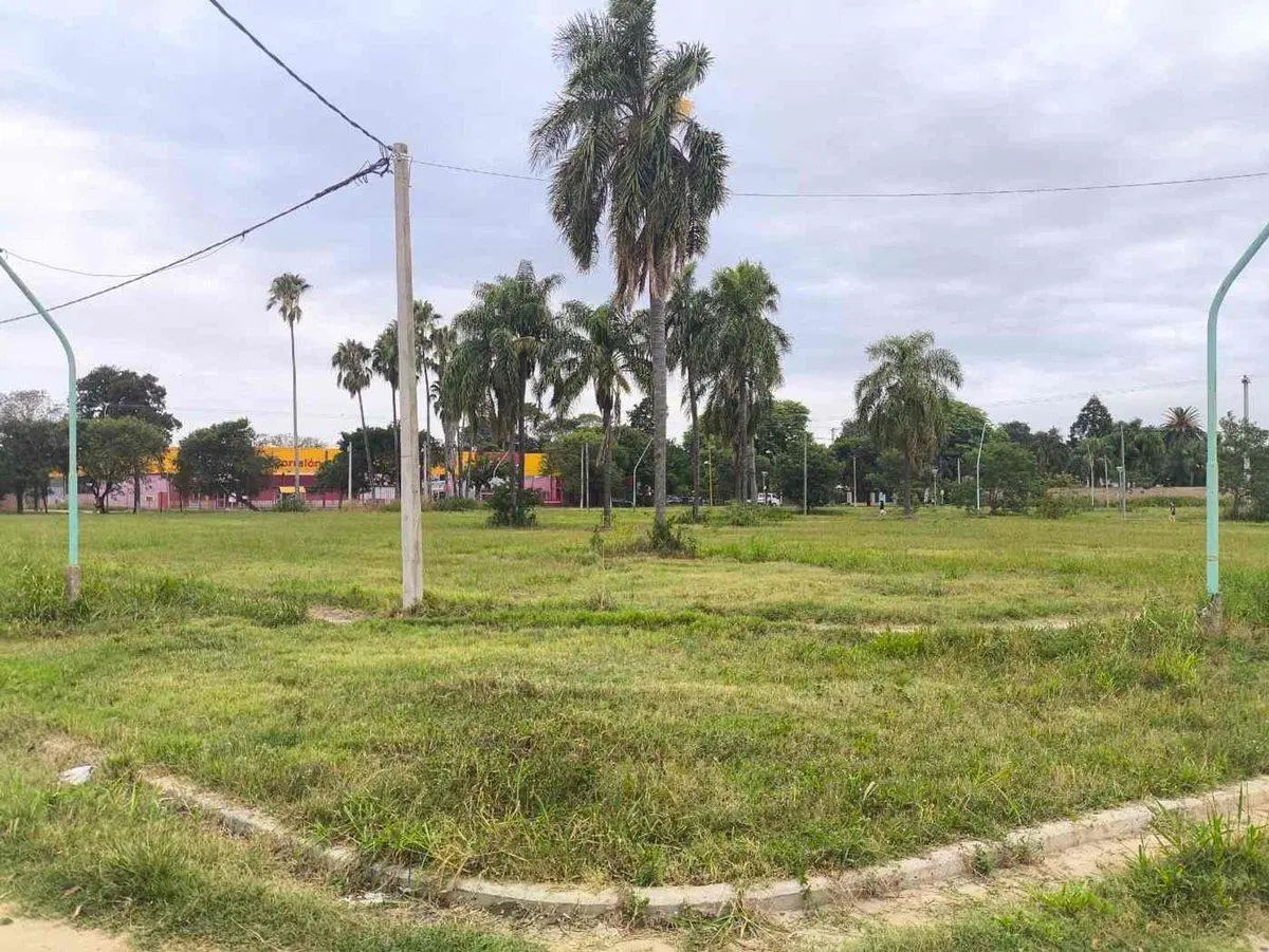 Se vende Lote en Santo Tome - Todos los servicios 4