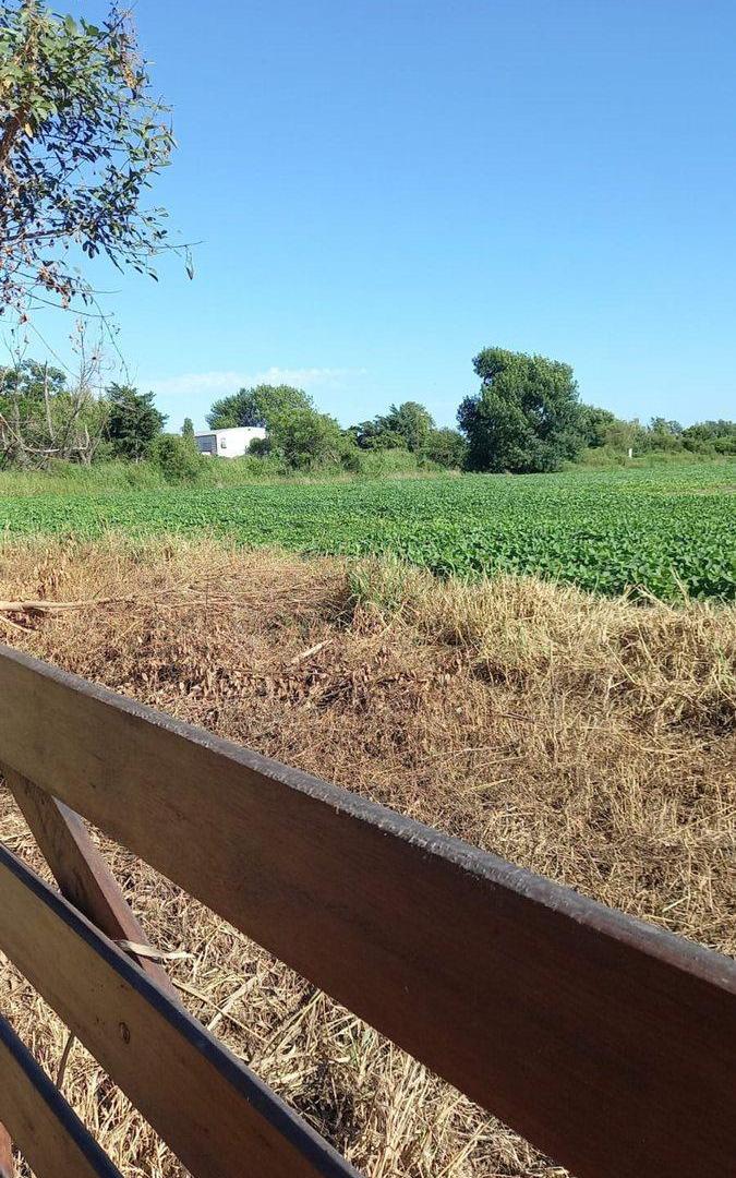 Foto de CAMPO AGRÍCOLA EN MONTE VERA, imagen 3