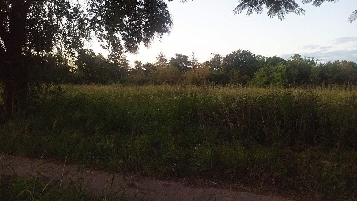 Foto de Se Vende Lote en Santo Tome, imagen 3