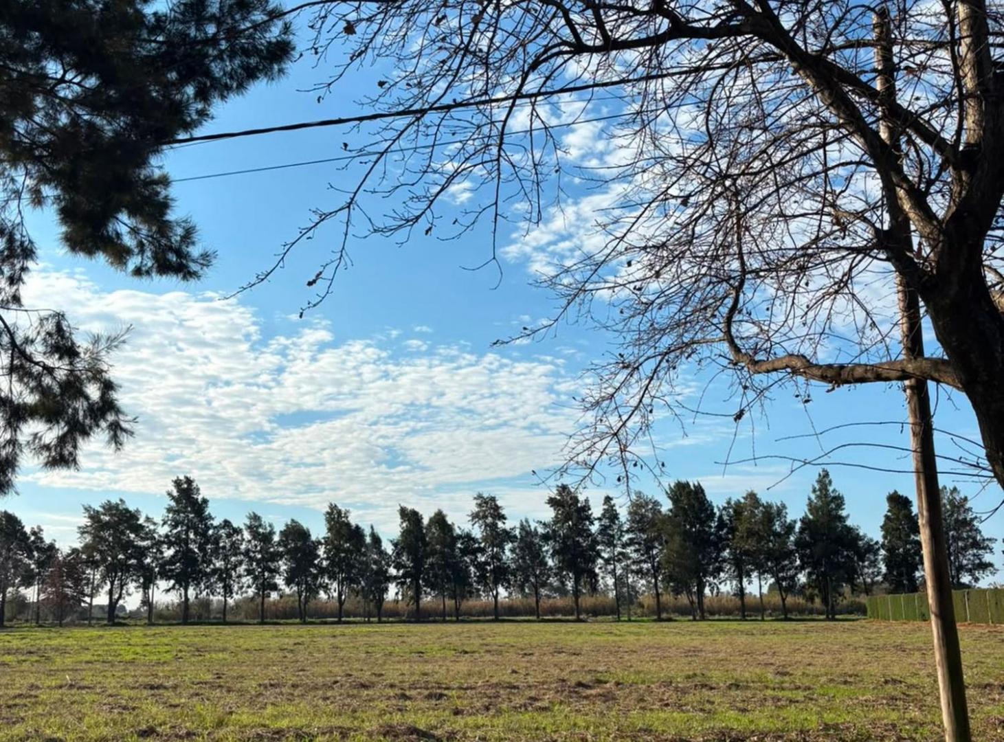 Foto de TERRENO EN VENTA EN LAS MORAS, MONTEVERA, imagen 2