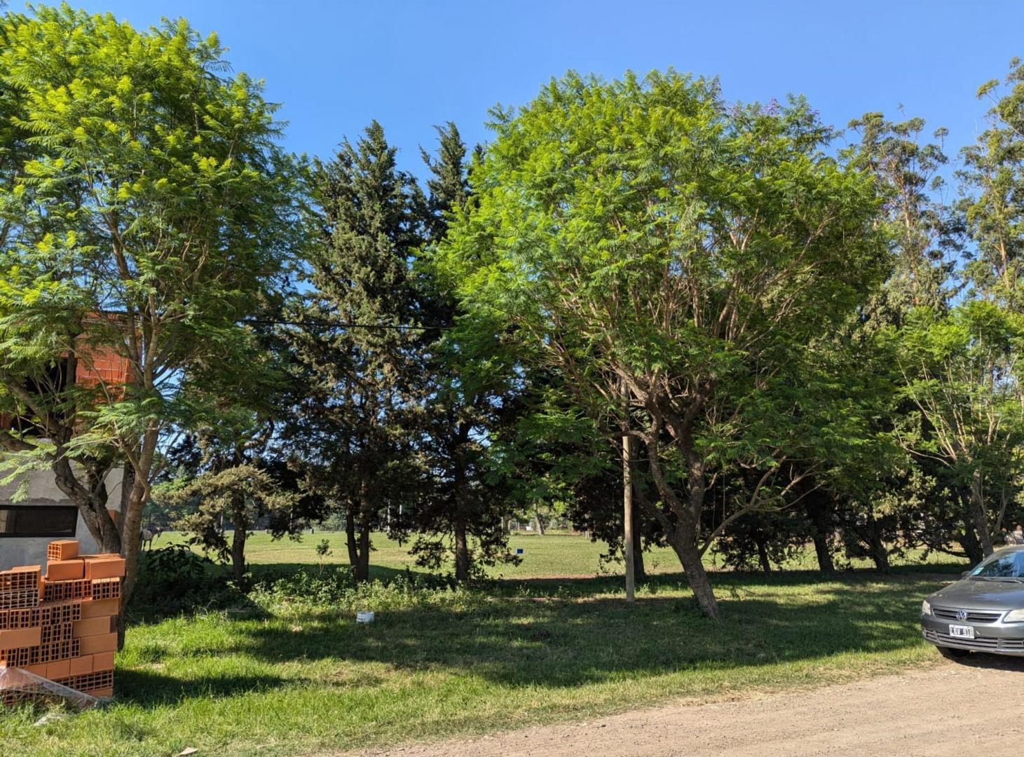Foto de SE VENDE LOTE EN GDOR CANDIOTI! BUENA UBICACION, imagen 2
