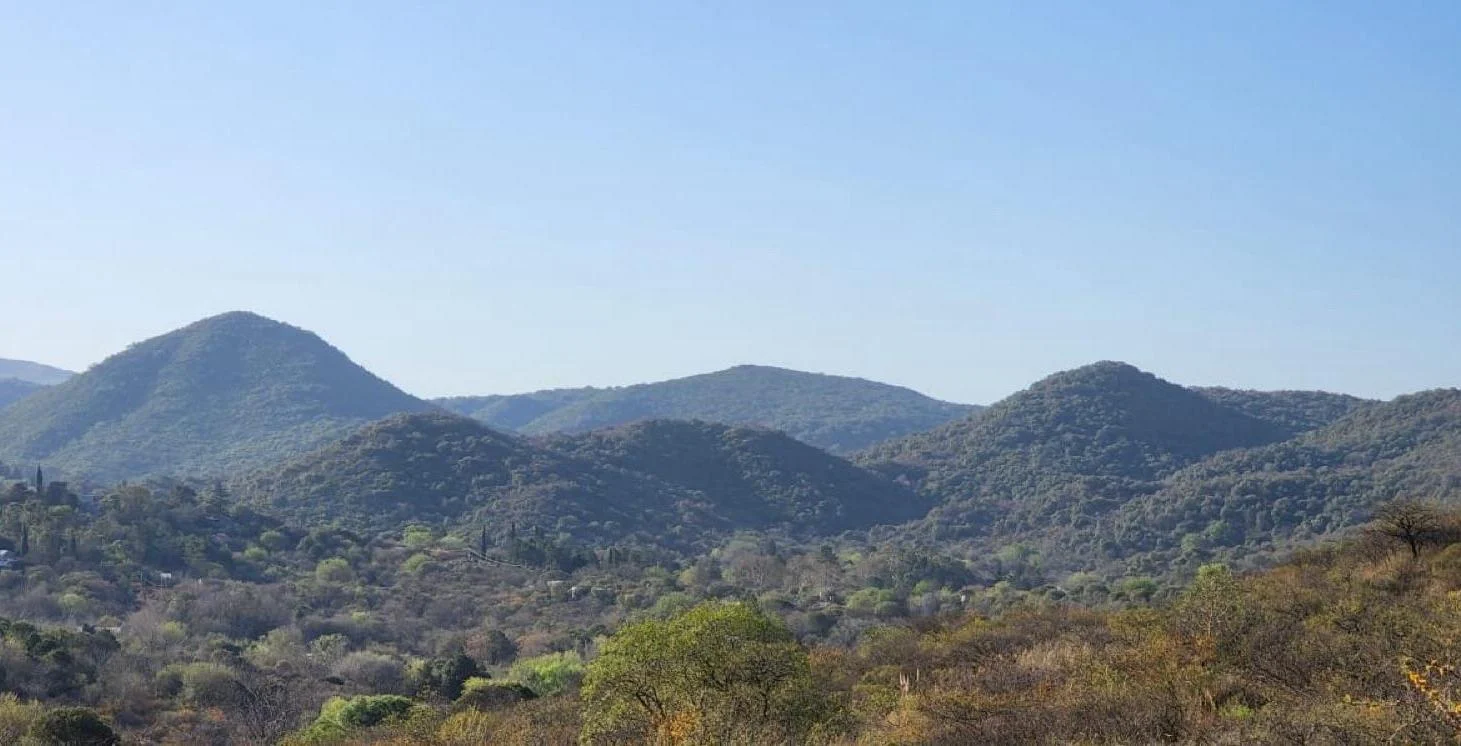VENTA CAMPO DE 49 HECTÁREAS EN UNQUILLO – Frente sobre Av. 5 de Octubre