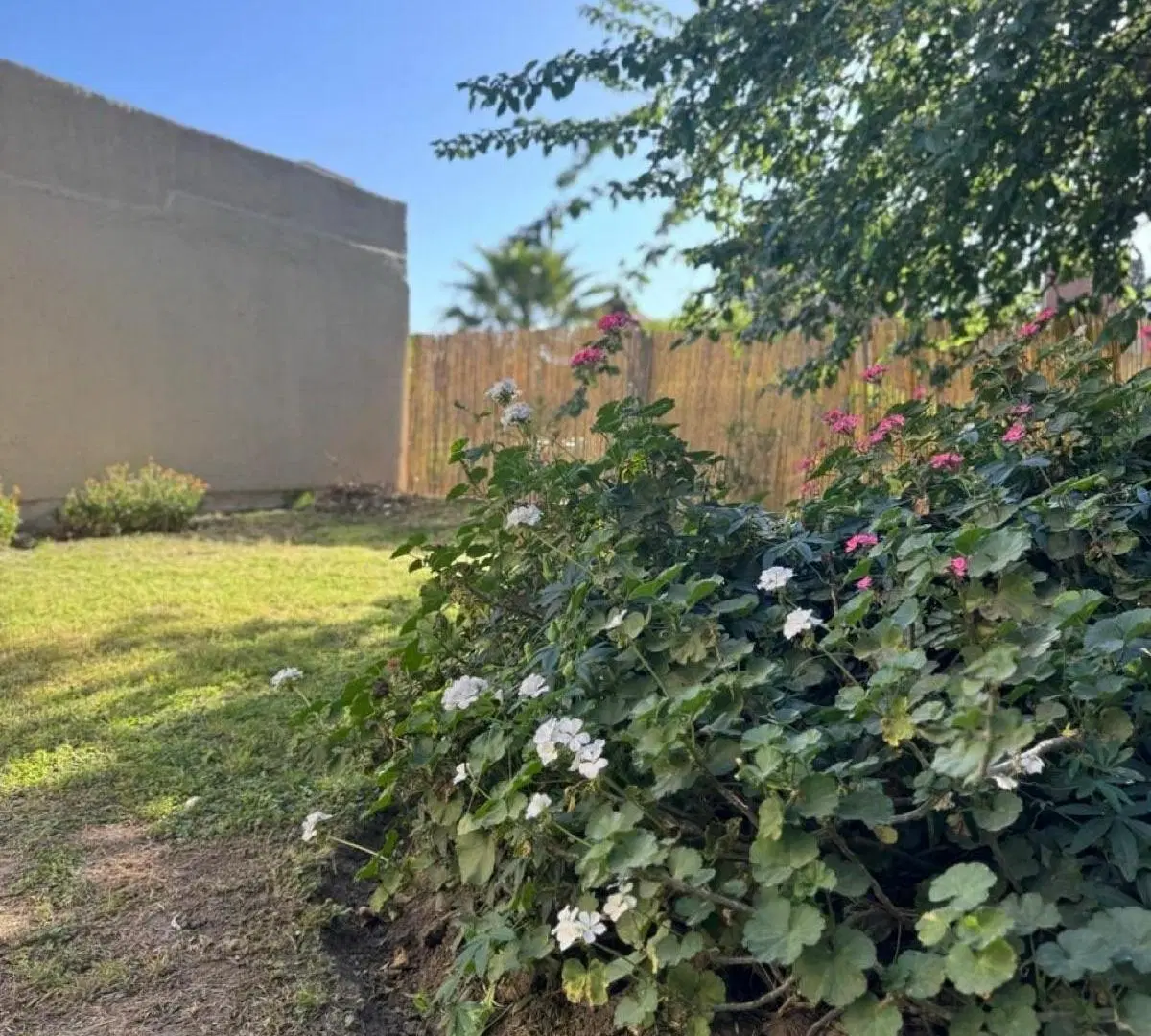 VENTA CASA 3 DORMITORIOS ZONA NORTE HOUSING CALANDRIA 1