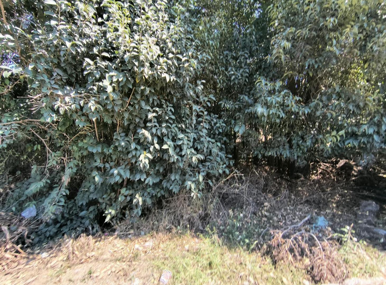 Foto de Terreno en Villa Catalina, imagen 4