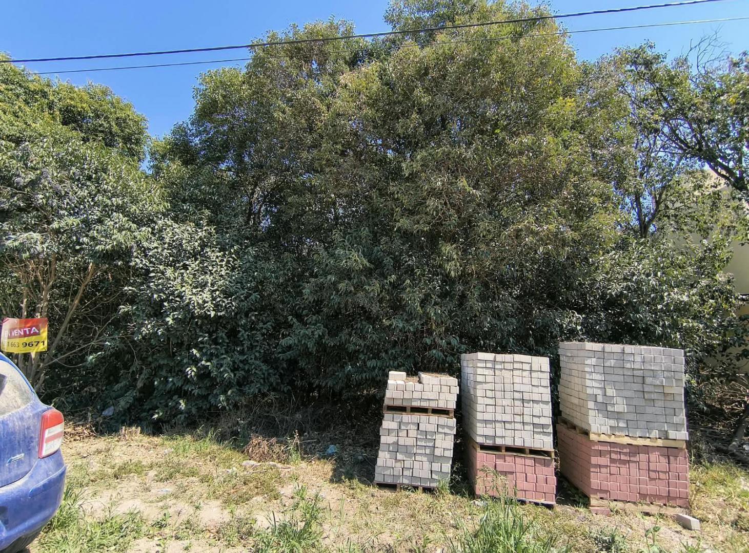 Foto de Terreno en Villa Catalina, imagen 3
