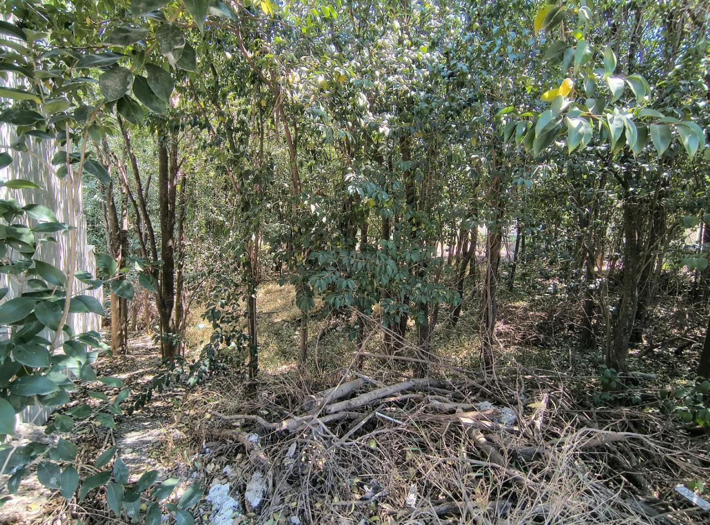 Foto de Terreno en Villa Catalina, imagen 2