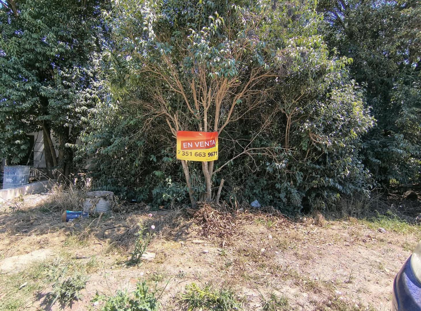 Foto de Terreno en Villa Catalina, imagen 5