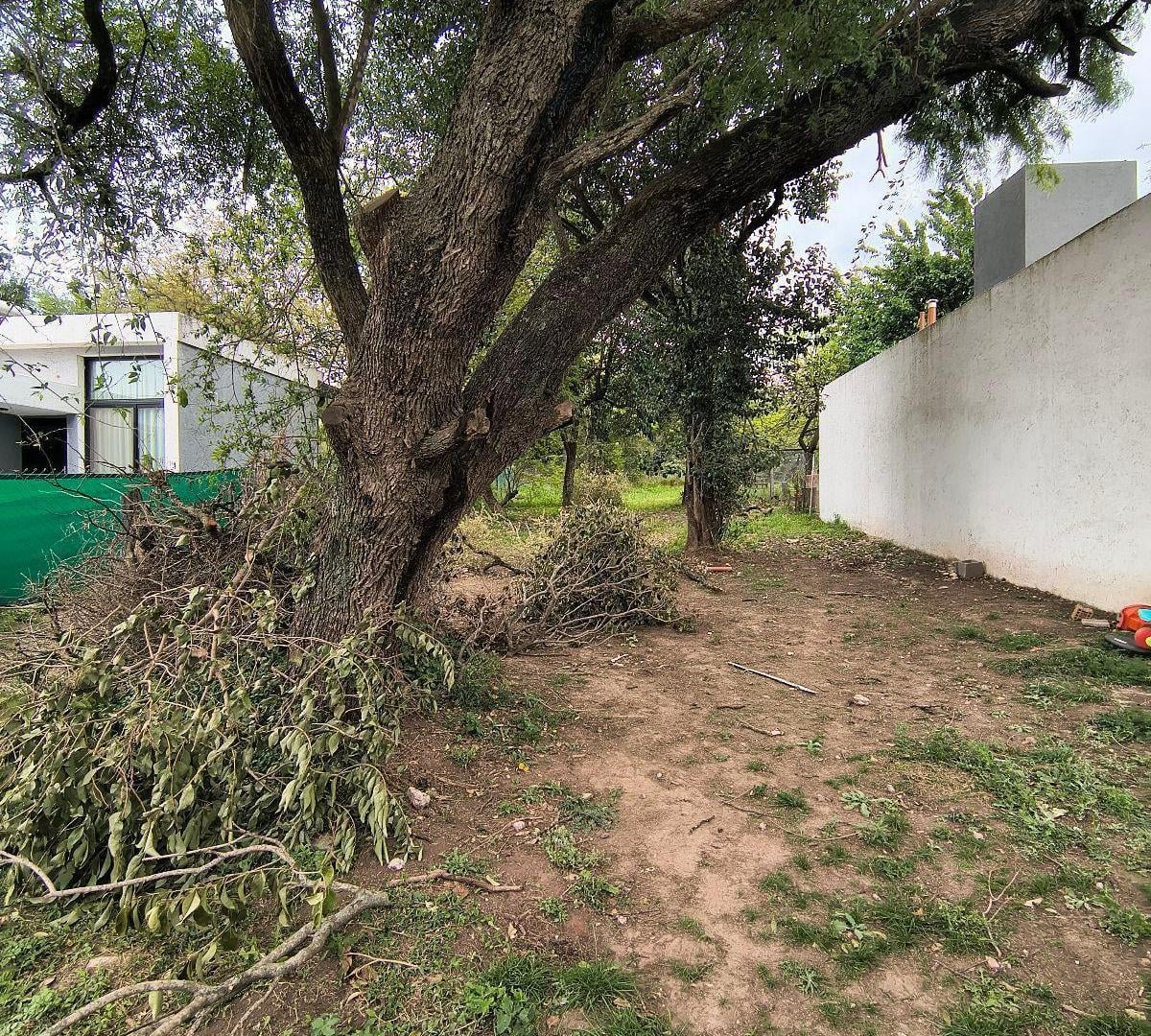 Foto de Terreno Villa Catalina, imagen 5