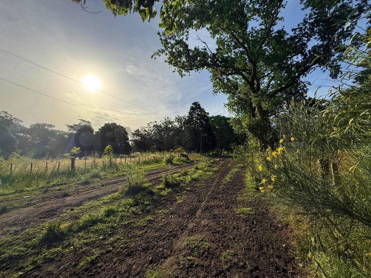 Foto de Propiedad 299589, imagen 1