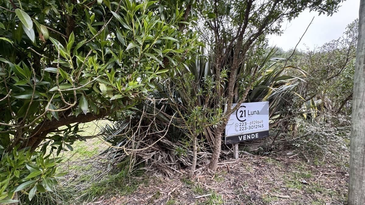 Foto de Venta de lote en Chapadmalal, Mar del Plata., imagen 4