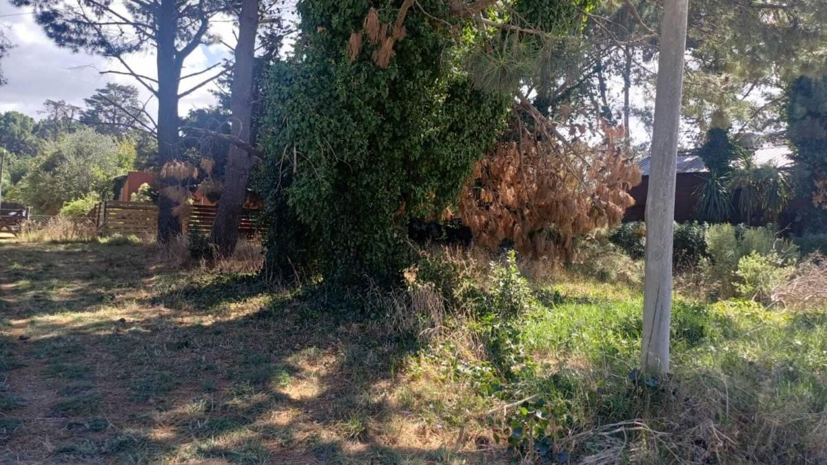 Foto de Venta de lotes 403 m² en Las Lomas de Miramar., imagen 4