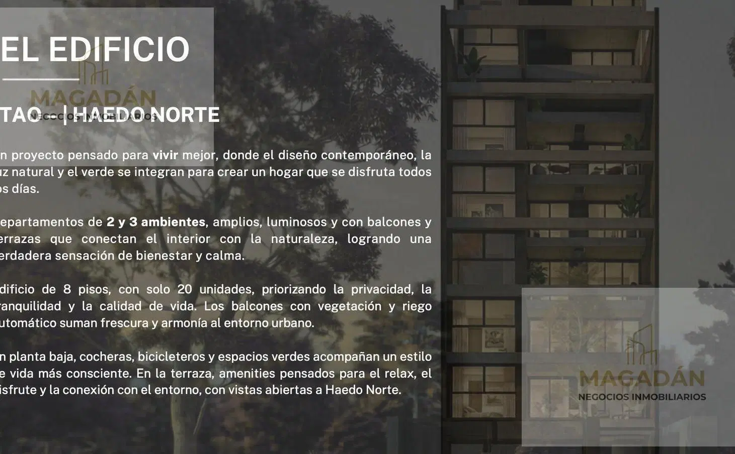 VENTA - Departamentos en pozo - Haedo Norte. 5