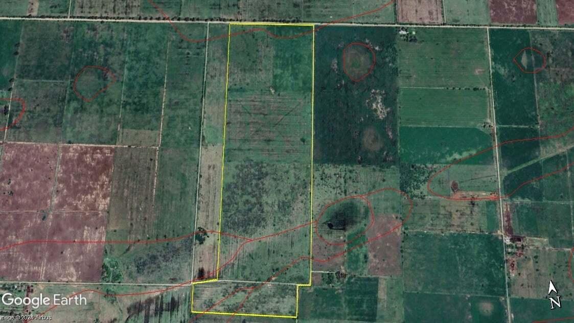 CAMPO MIXTO 62HA - FELICIA, SANTA FE
