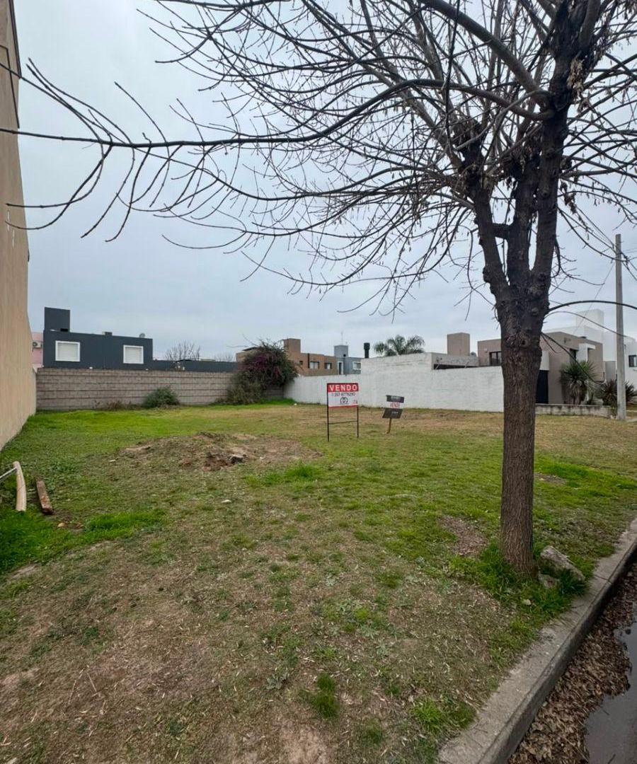 Foto de Terreno de 388 m² en venta en Tejas 2 a mts de Circunvalacion! Zona 100% Residencial, imagen 3