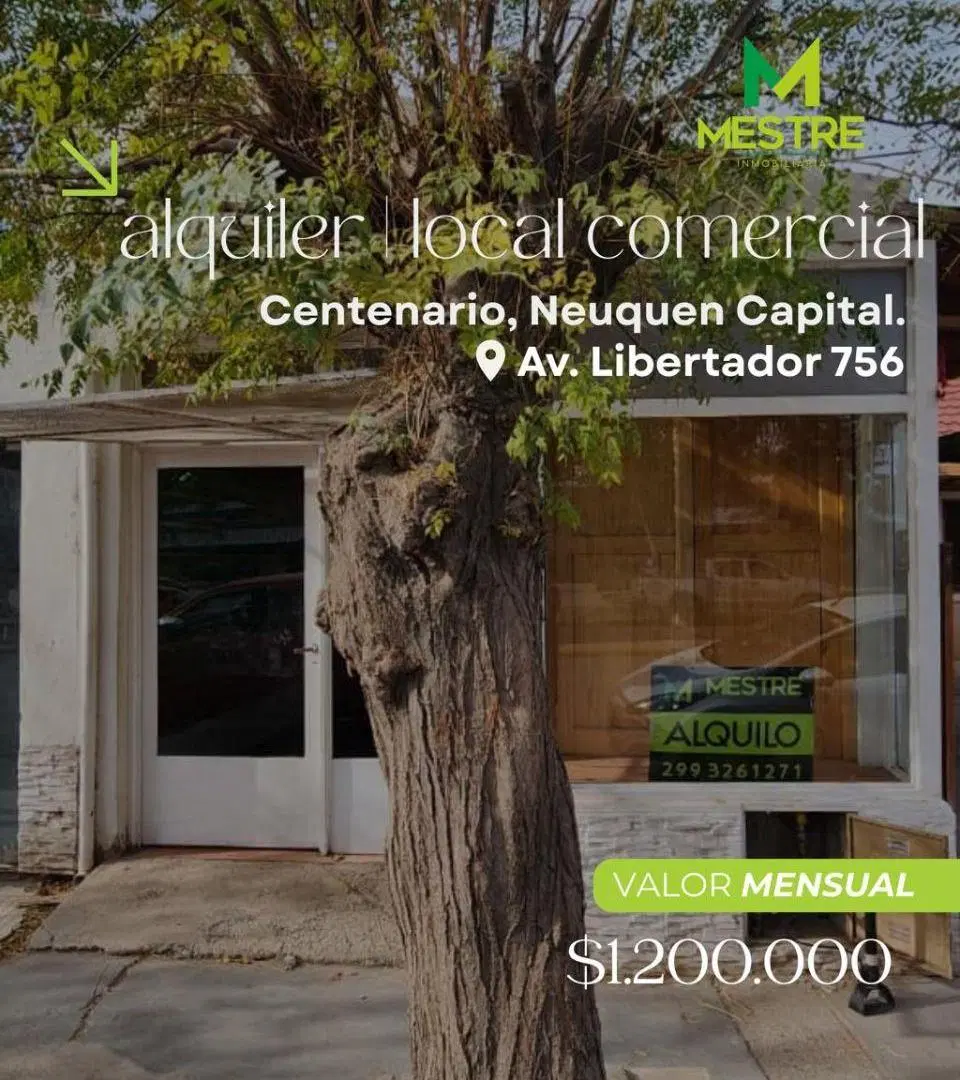 LOCAL COMERCIAL EN ALQUILER 5