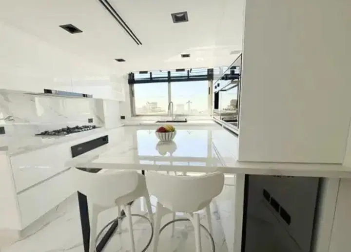 Semipiso Exclusivo en Recoleta con vista al rio piso alto 216 m2 Recoleta 3
