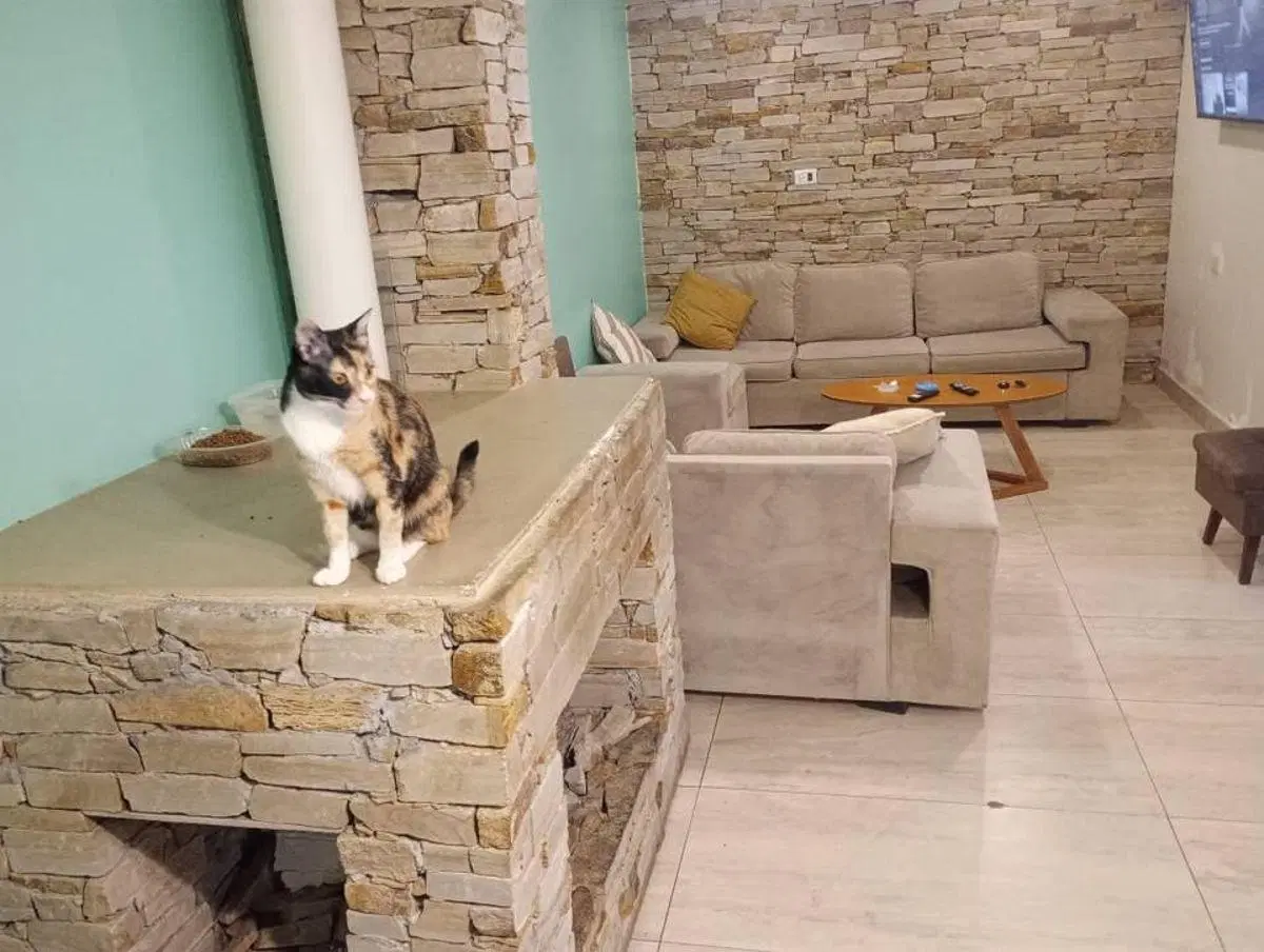 Ph en venta 147 m2 cubiertos hecho a nuevo 5