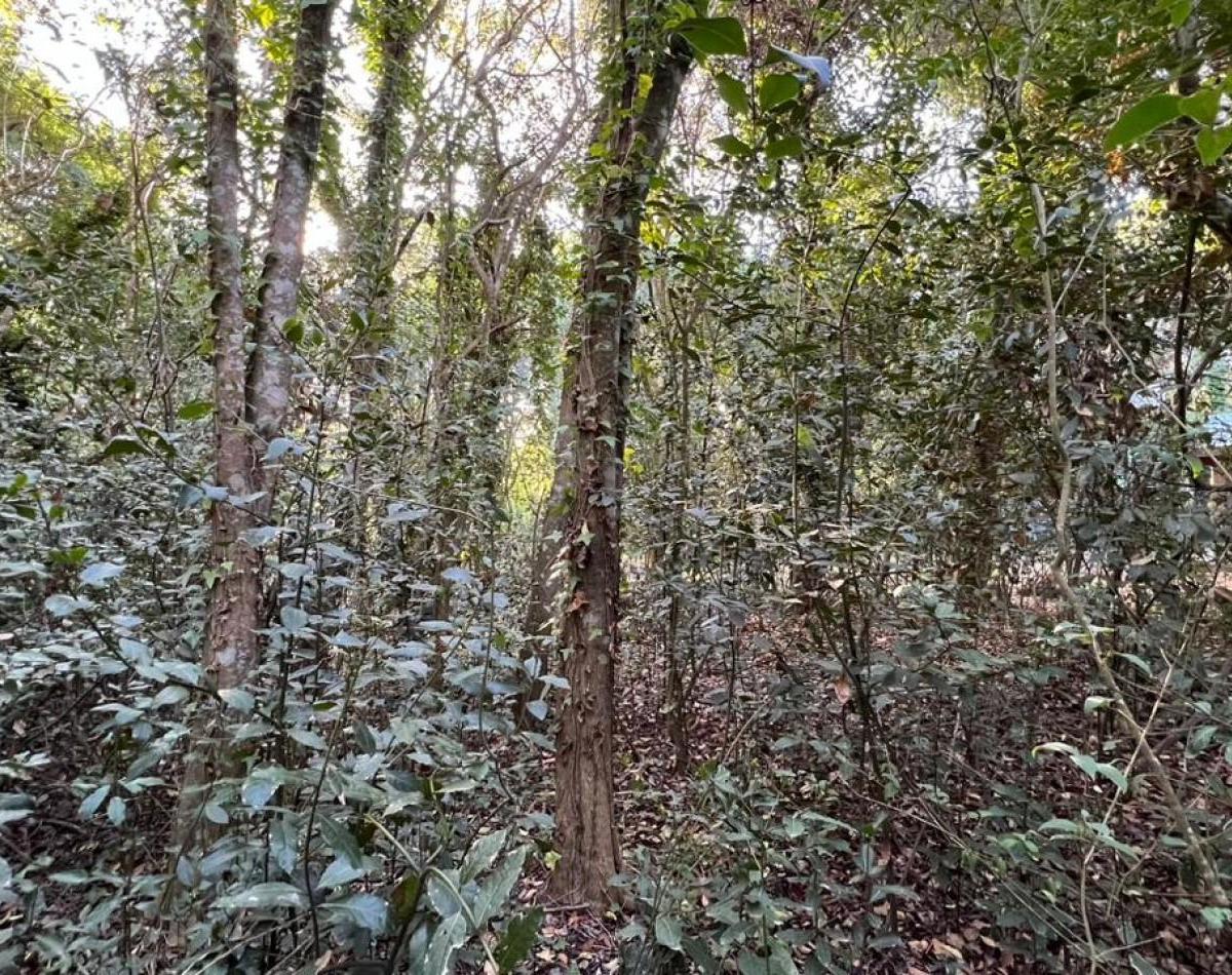 Foto de VENTA Lote Punta Del Indio - Zona Sarandi T- 769, imagen 3