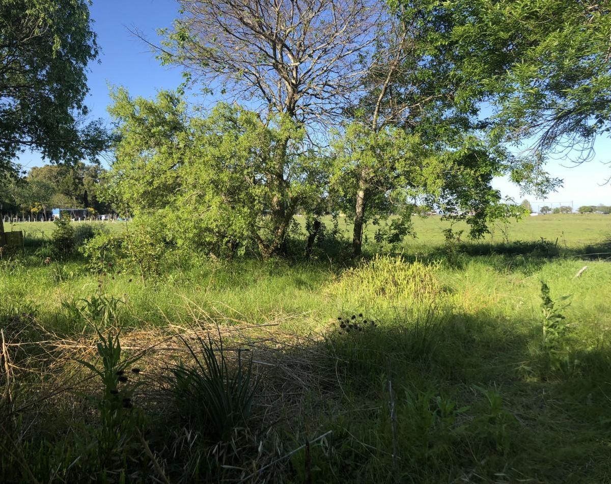 Venta Retasado! Lote Punta del Indio T - 734 1