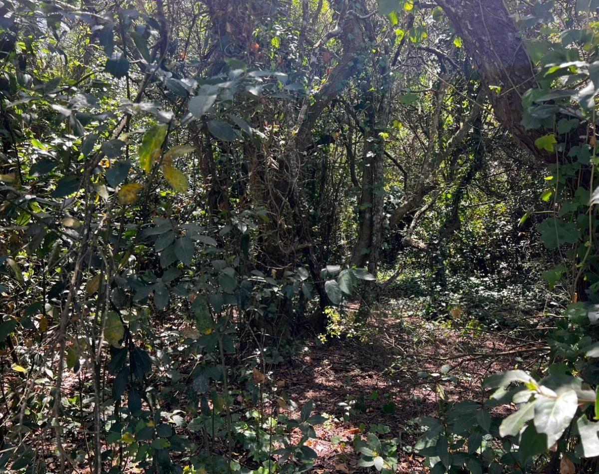 Venta Lote 1.900 m² en Punta del Indio T - 765 1