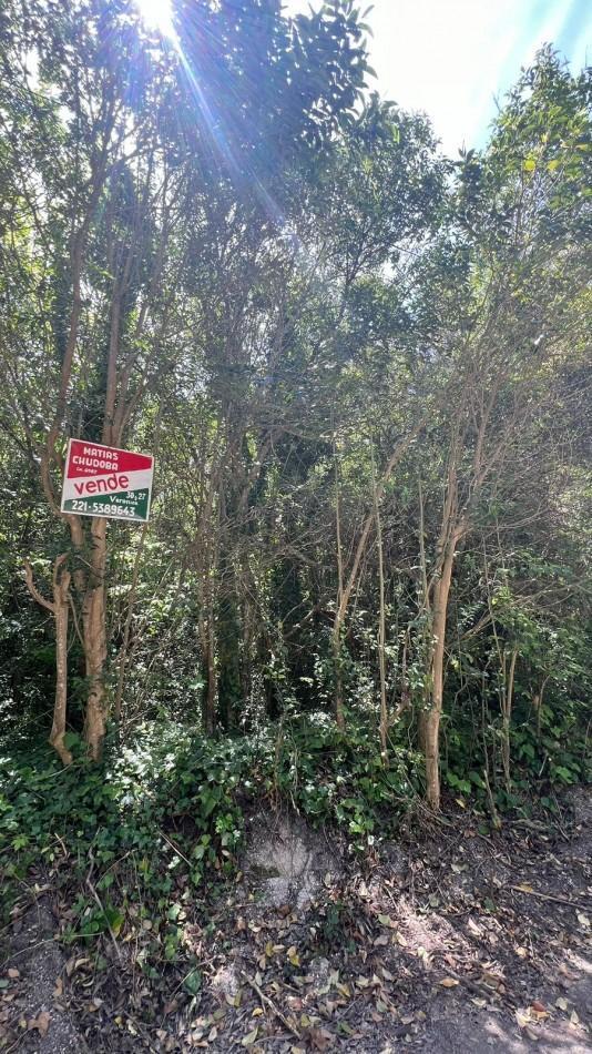 Venta Lote Arbolado Punta del Indio T - 781 1