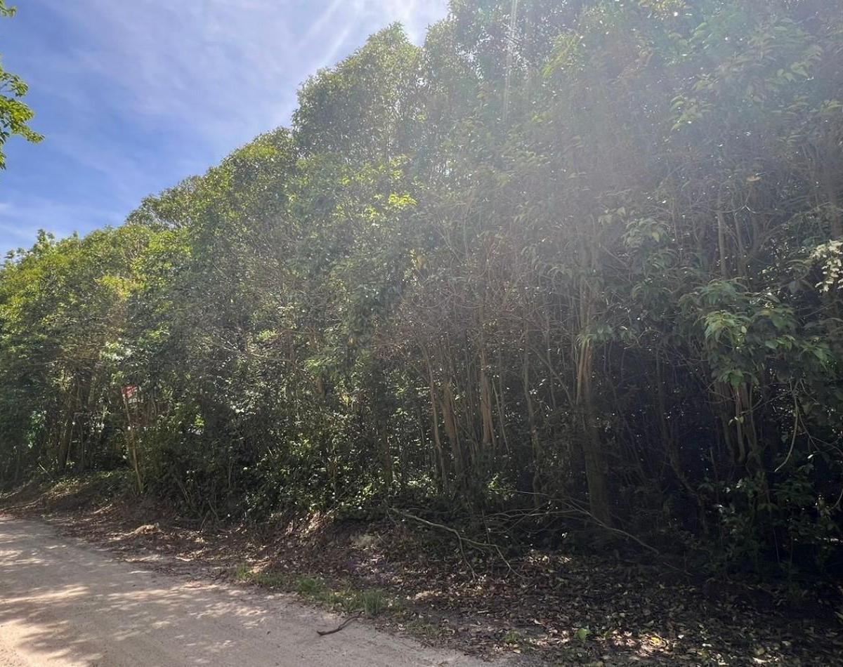 Venta Lote Arbolado Punta del Indio T - 781 2