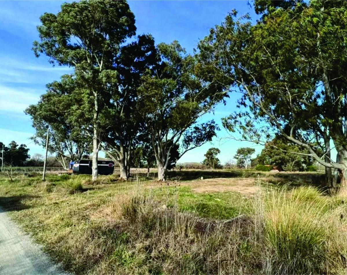 Lote - Venta - Punta del Indio La Escondida 3