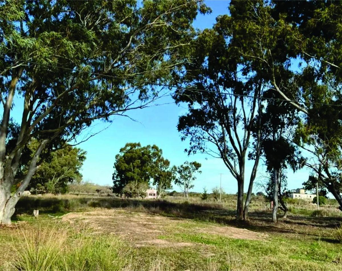 Lote - Venta - Punta del Indio La Escondida 2