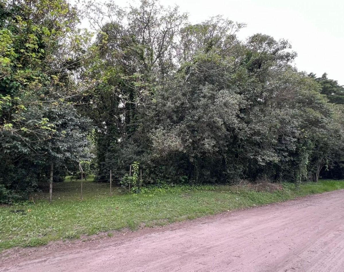 3 Lotes - Venta - Punta del Indio T - 794 (Valor de Uno) 2