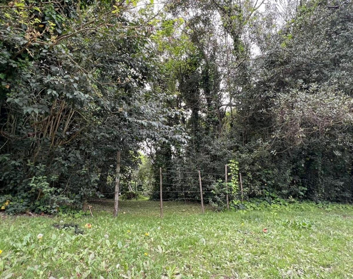3 Lotes - Venta - Punta del Indio T - 794 (Valor de Uno) 3