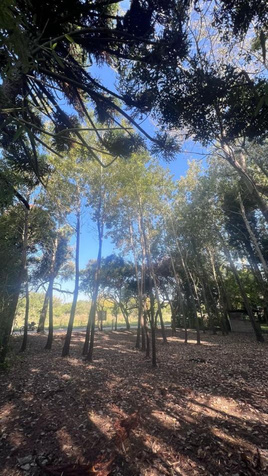 Venta Lote Punta Indio T - 802 5