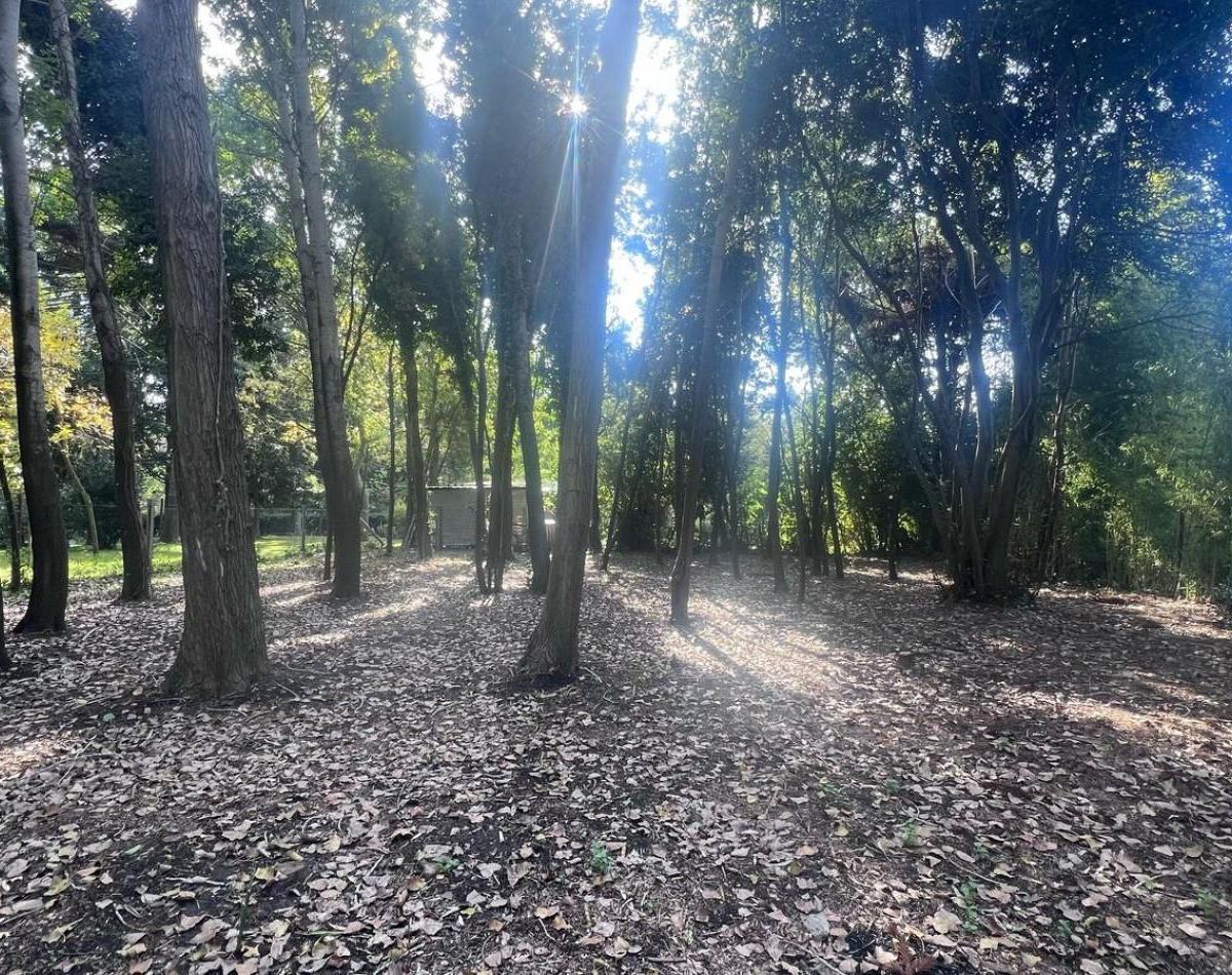 Venta Lote Punta Indio T - 802 2