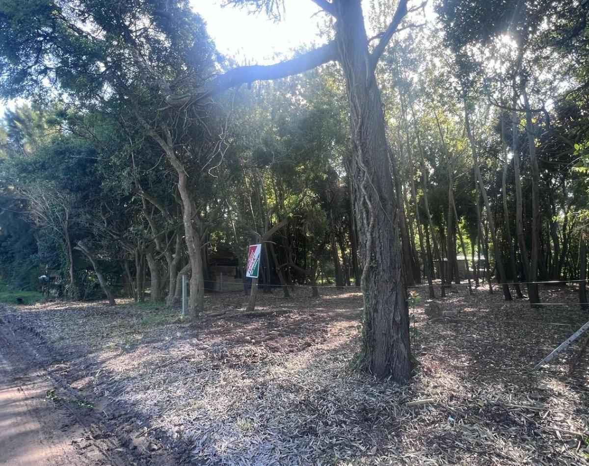 Venta Lote Punta Indio T - 802 3