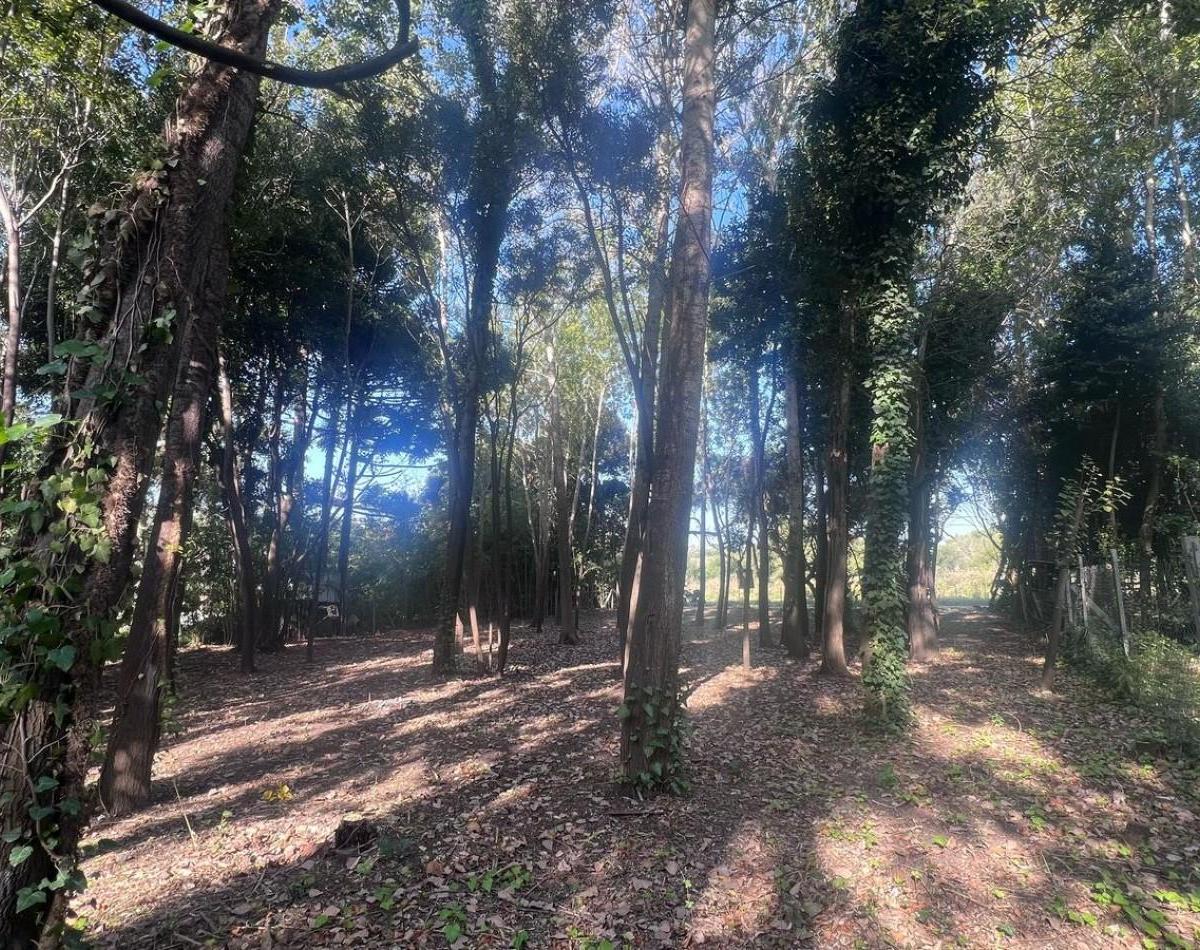 Venta Lote Punta Indio T - 802 4