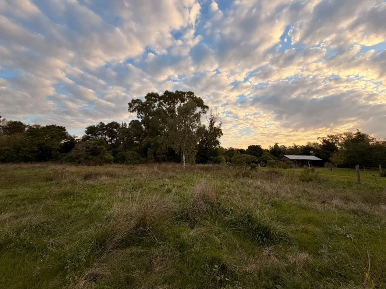 VENTA LOTE DE PUNTA INDIO T-818 5