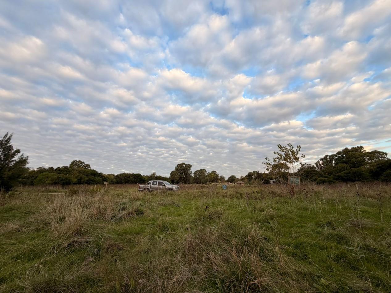 Foto de VENTA LOTE DE PUNTA INDIO T-818, imagen 1