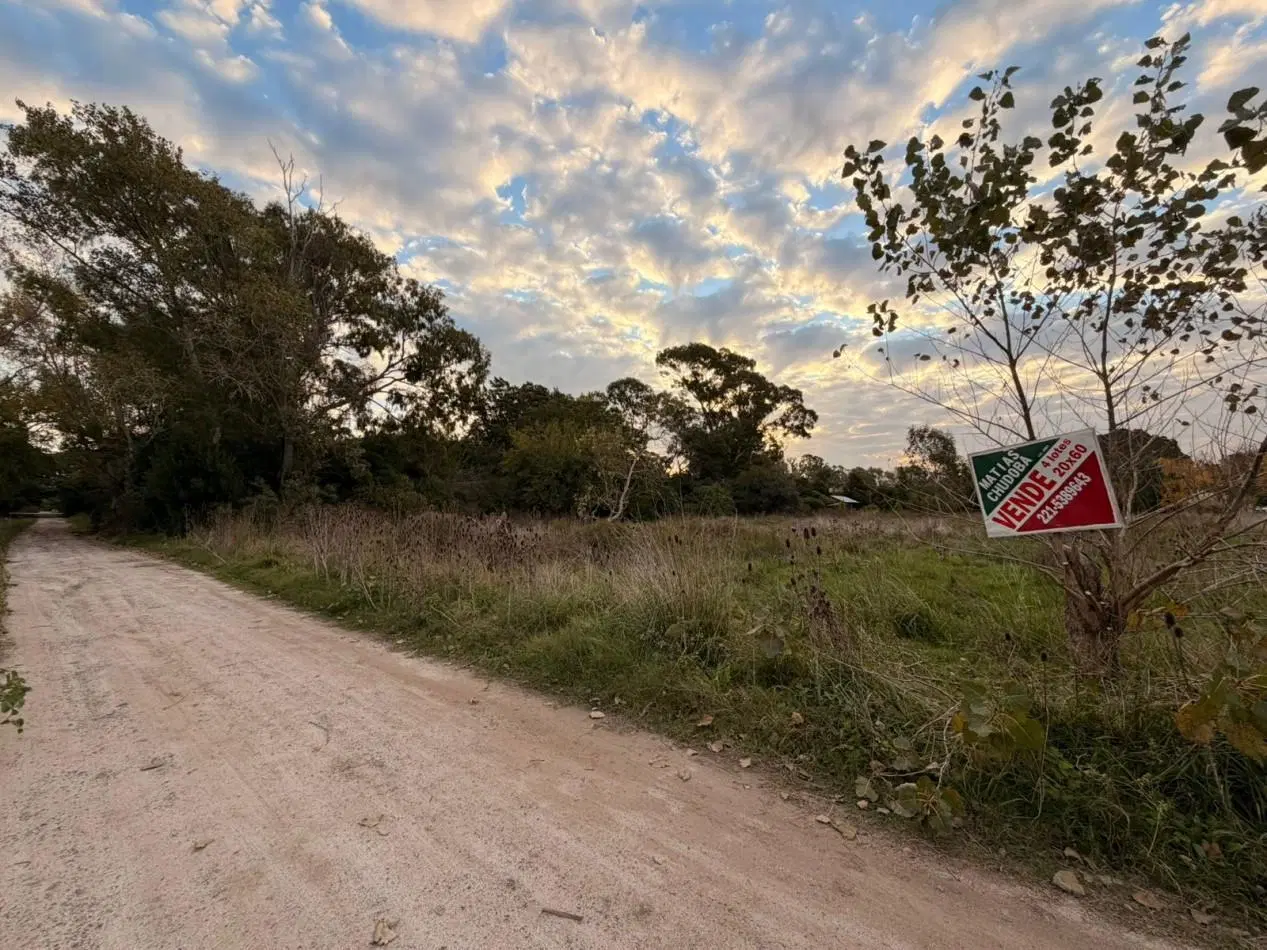 VENTA LOTE DE PUNTA INDIO T-818 4