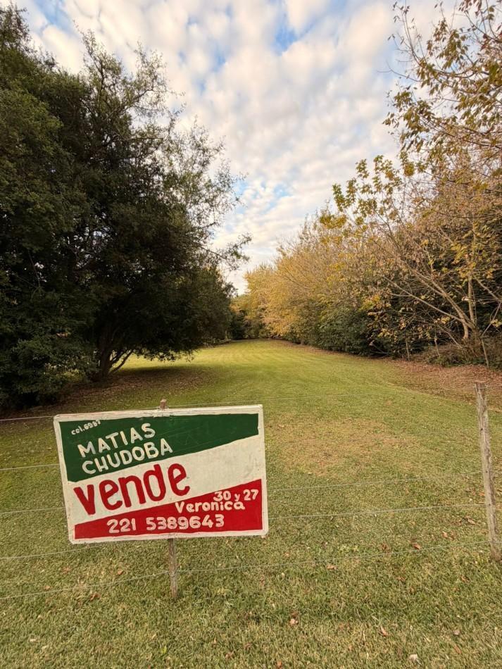 Foto de VENTA LOTE PUNTA INDIO, imagen 1