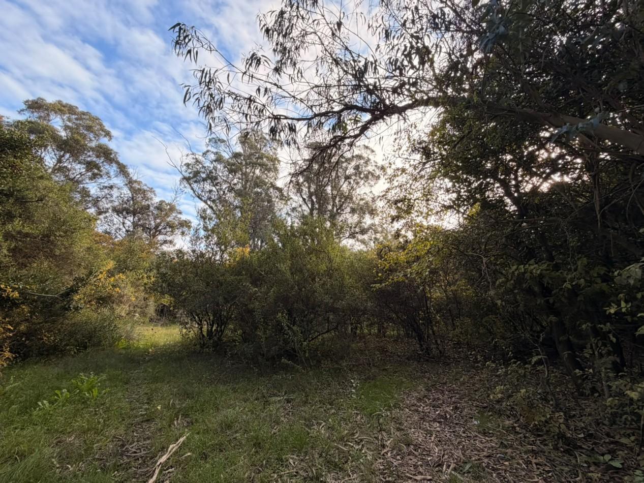 Foto de VENTA LOTE PUNTA INDIO 5000M² T-820, imagen 4