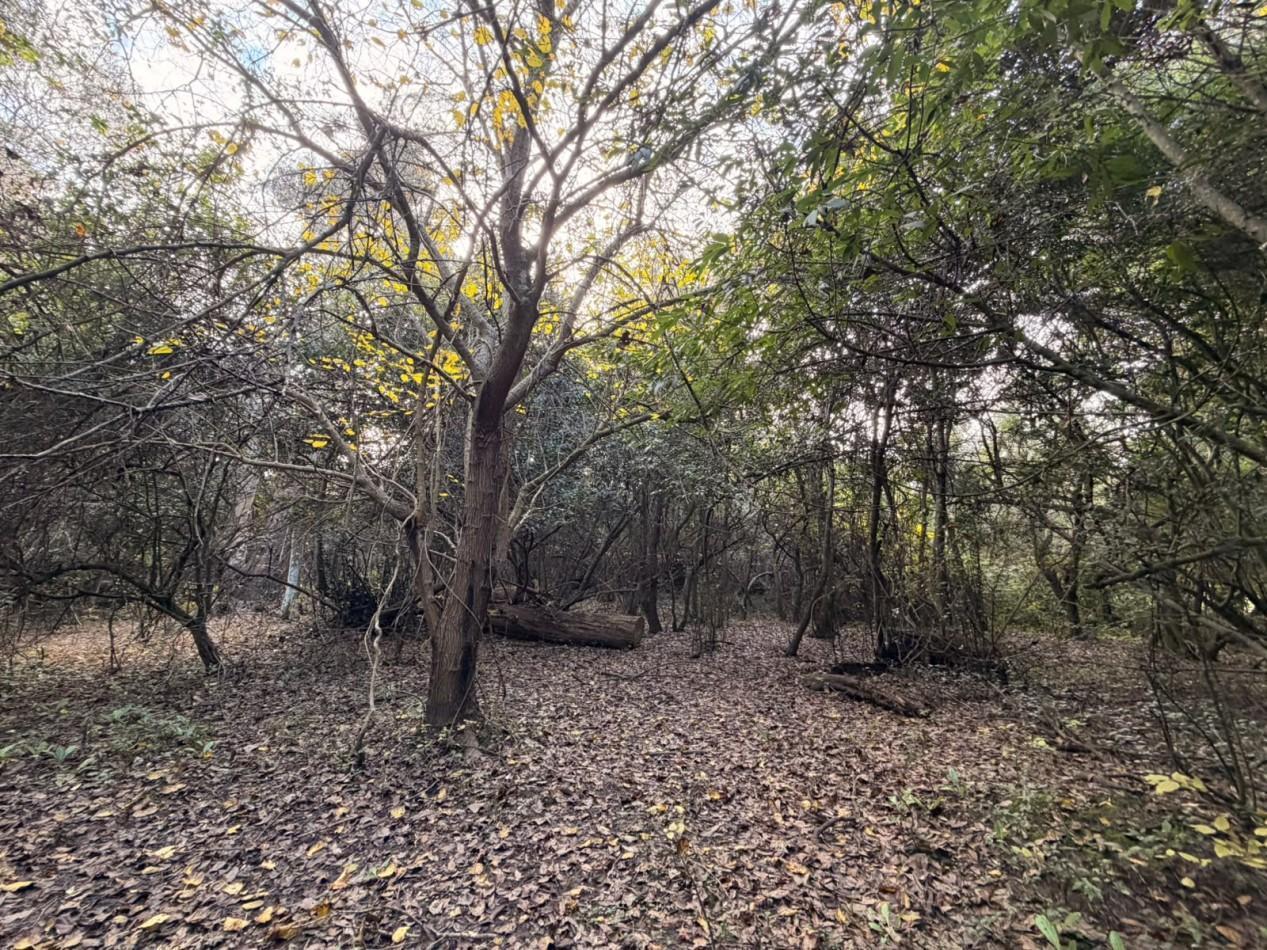 Foto de VENTA LOTE PUNTA INDIO 5000M² T-820, imagen 5